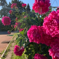 Photo taken at Ботанический сад МГУ by Nataliya G. on 6/20/2021