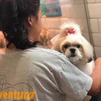 9/30/2019にRenato S.がVentura Veterinária &amp;amp; Petshopで撮った写真