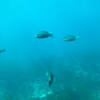 勝浦海中展望塔 Scenic Lookout In 勝浦市 勝浦海中展望塔 Scenic Lookout In 勝浦市