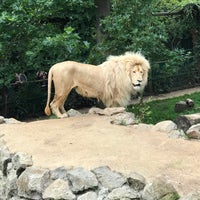 Foto tomada en Hertfordshire Zoo  por Ross M. el 7/28/2017