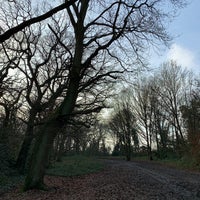 Photo taken at Coldfall Wood by Ross M. on 12/29/2019