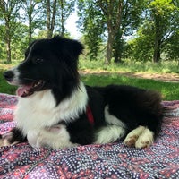 Photo taken at Cassiobury Park Paddling Pools &amp;amp; Playground by Ross M. on 6/29/2019