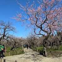 Photo taken at Kairakuen by H F. on 3/9/2024