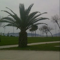 denge senkronize taahhut maltepe sahil hali saha telefon krishnahospitaldhorimanna com