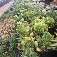 Martinez Nursery Anaheim Ca Photo Taken At Martinez Nursery By Jenn C On 2 20 2018