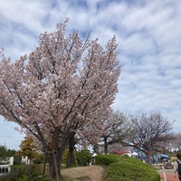 Photo taken at 松前公園 by Yuji on 4/7/2024