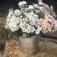 Photo taken at Flowers Market | ყვავილების ბაზარი by Elena P. on 10/7/2019
