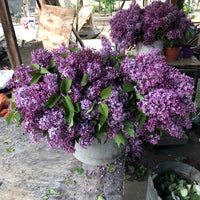 Photo taken at Flowers Market | ყვავილების ბაზარი by Elena P. on 5/6/2019