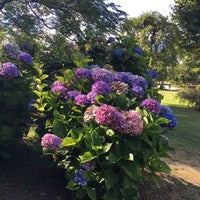 Parco della Villa Pallavicino - Park