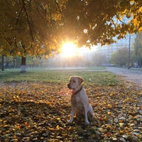 Photo taken at Площадка для выгула собак by Elena Y. on 10/17/2014