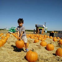 10/10/2015에 Brian M.님이 Fantozzi Farms Corn Maze and Pumpkin Patch에서 찍은 사진
