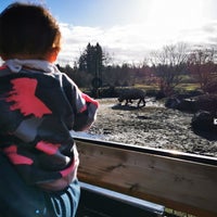 Photo taken at Greater Vancouver Zoo by Rachel G. on 12/26/2023