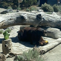 Animal Ark - Zoo in Reno