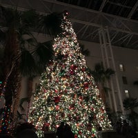 Photo taken at Gaylord Opryland Resort &amp;amp; Convention Center by allison on 12/9/2017