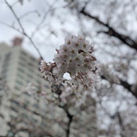 Photo taken at Nishikomen by dragon_TA on 3/18/2018