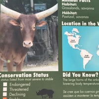 Photo taken at Ankole Cattle Exhibit by ᴡ S. on 2/26/2018