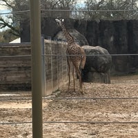 Photo taken at Giraffe African Exhibit by ᴡ S. on 2/26/2018