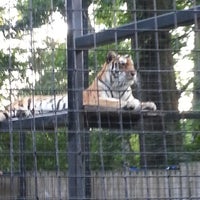 8/15/2013 tarihinde Dennecia C.ziyaretçi tarafından Brandywine Zoo'de çekilen fotoğraf