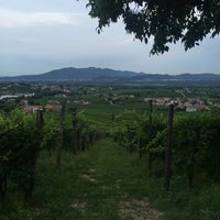 Photo taken at Trattoria alla Cima by Ellie D. on 7/8/2016