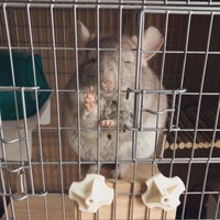 Pep 魚町 北九州市 福岡県