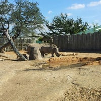 Photo taken at White Rhinoceros Exhibit @ Houston Zoo by Francisco N. on 1/21/2013