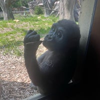 Photo taken at Franklin Park Zoo by Tina J. on 5/16/2023