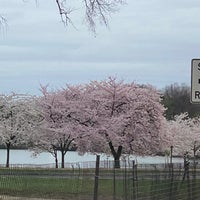 Photo taken at West Potomac Park by Brian C. on 3/25/2023