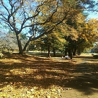 野川公園バーベキュー広場 府中 府中市 東京都 野川公園バーベキュー広場 府中 府中市 東京都