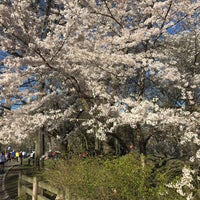 Photo taken at Central Park - 72nd St Transverse by Lane R. on 4/22/2018