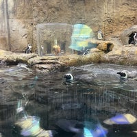 Photo taken at Ripley&amp;#39;s Aquarium of the Smokies by Fat Matt R. on 10/24/2022