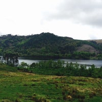 5/25/2015にAhmet A.がThe Lake District Wildlife Parkで撮った写真