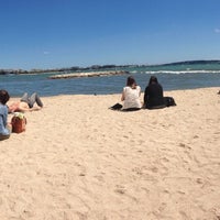 La Plage Des Palmes Le Vieux Port 4 Tips