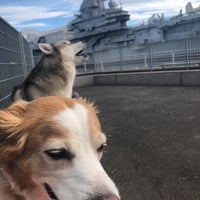 Photo taken at Pier 84 Dog Run by Matt S. on 6/9/2021