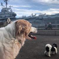 Photo taken at Pier 84 Dog Run by Matt S. on 6/9/2021