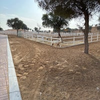 รูปภาพถ่ายที่ Ritz-Carlton Banyan Tree Al Wadi โดย Salem เมื่อ 2/1/2024