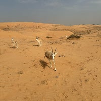 รูปภาพถ่ายที่ Ritz-Carlton Banyan Tree Al Wadi โดย Salem เมื่อ 2/2/2024
