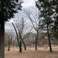 Photo taken at 武蔵野公園 バーベキュー広場 by 粗塩 on 2/17/2024
