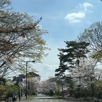 Photo taken at Tama Cemetery by 粗塩 on 4/7/2024