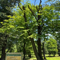 Photo taken at 武蔵野公園 バーベキュー広場 by 粗塩 on 5/28/2022