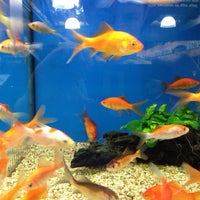 Photos At Petbarn Richmond Richmond Vic 1 Tip From 58 Visitors