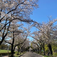 Photo taken at Fuchunomori Park by まつやま 旅. on 4/10/2024