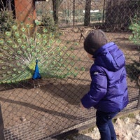 Photo taken at Leningrad Zoo by Anja K. on 4/27/2015