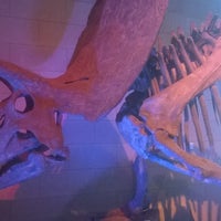 Photo taken at Museum of Natural Sciences by Koen V. on 5/9/2017
