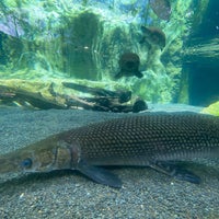 Photo taken at Rivers of the World by Hao C. on 2/27/2020