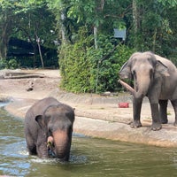 Photo taken at Elephants of Asia by Hao C. on 2/27/2020