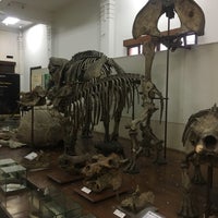 Photo prise au Museum Geologi par Henokh le12/13/2018