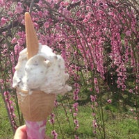 小田原牧場アイス工房 小田原 4 Tips From 236 Visitors 小田原牧場アイス工房 小田原 4 Tips From 236 Visitors