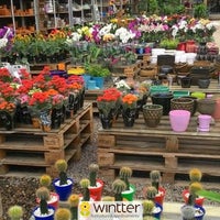 Photo taken at Wintter Floricultura by Floricultura W. on 10/9/2017