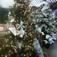 The Decor Store 73 Visitors