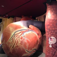 Photo taken at The Giant Heart Exhibit by Lisa C. on 3/30/2018